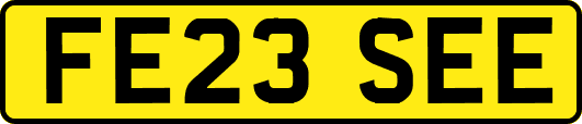 FE23SEE