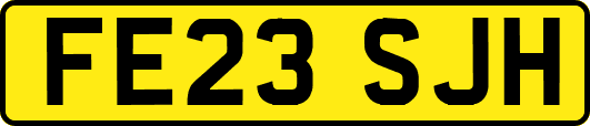 FE23SJH