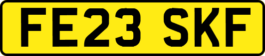 FE23SKF