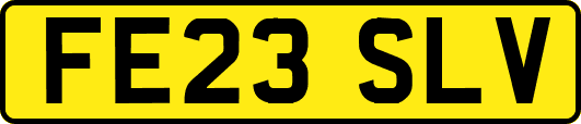 FE23SLV
