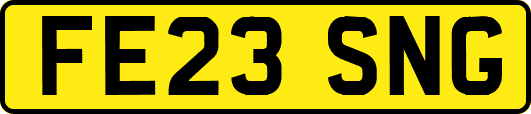 FE23SNG