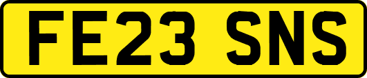 FE23SNS