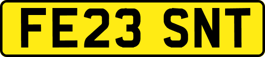 FE23SNT