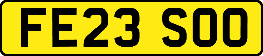 FE23SOO