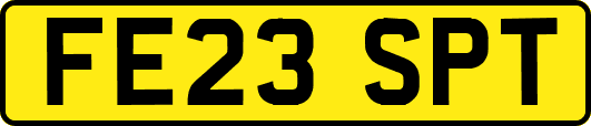 FE23SPT