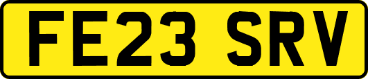 FE23SRV