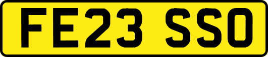 FE23SSO