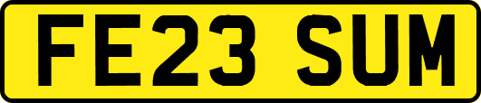 FE23SUM
