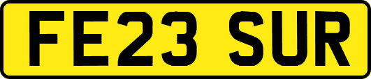 FE23SUR