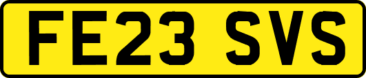 FE23SVS