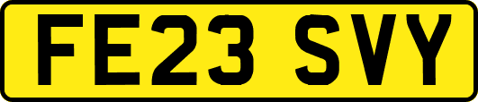 FE23SVY
