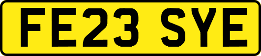FE23SYE