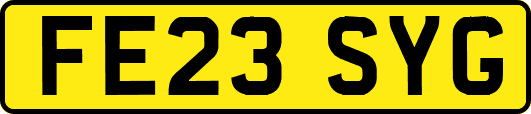 FE23SYG
