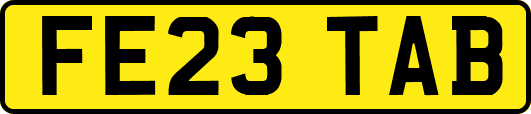 FE23TAB