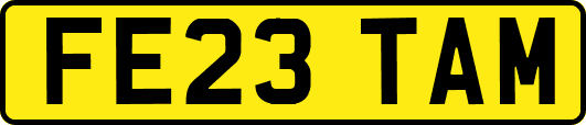 FE23TAM