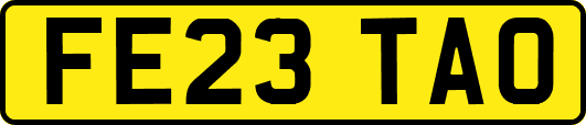 FE23TAO