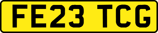 FE23TCG