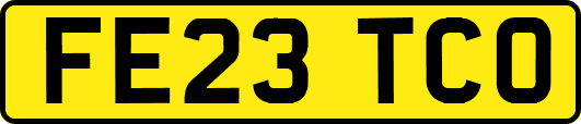 FE23TCO