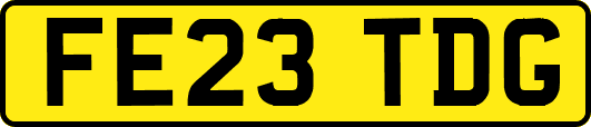 FE23TDG