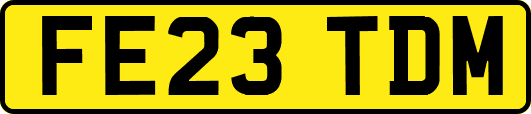 FE23TDM
