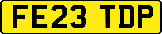 FE23TDP
