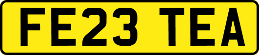 FE23TEA