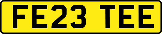 FE23TEE
