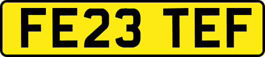 FE23TEF