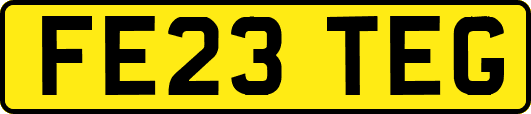 FE23TEG