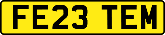FE23TEM