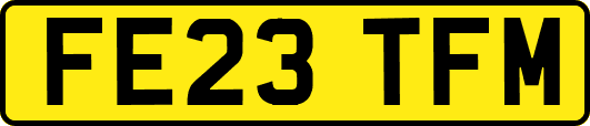 FE23TFM