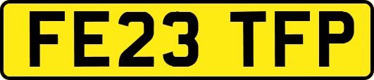 FE23TFP