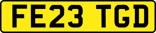 FE23TGD