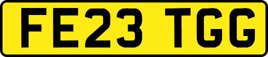 FE23TGG