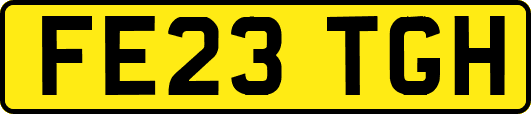 FE23TGH
