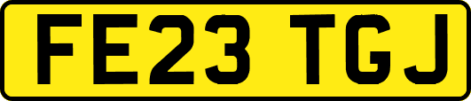FE23TGJ
