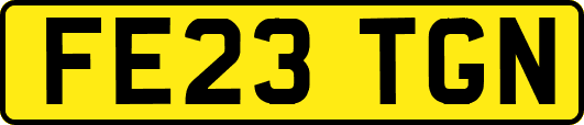 FE23TGN