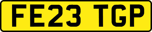 FE23TGP