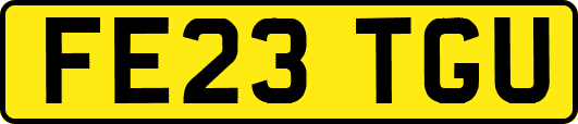 FE23TGU
