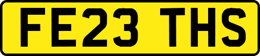 FE23THS