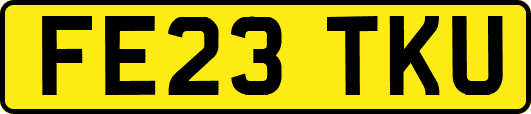 FE23TKU