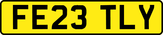 FE23TLY