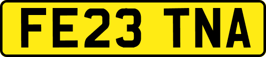 FE23TNA