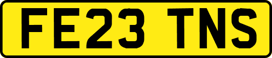 FE23TNS