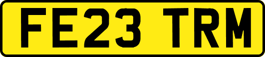 FE23TRM