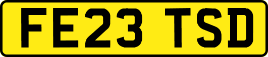 FE23TSD