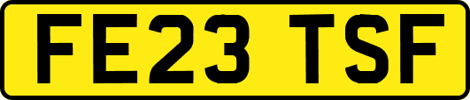 FE23TSF