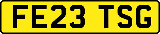 FE23TSG