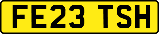 FE23TSH