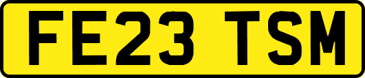 FE23TSM